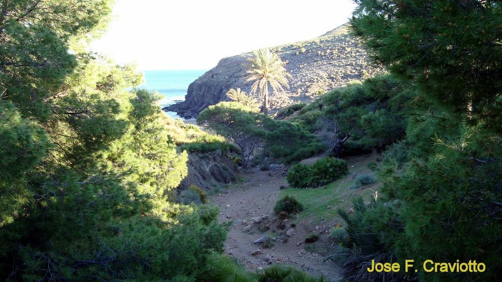 شقة Apartamento Del Mar لا إيسليتا ديل مورو المظهر الخارجي الصورة